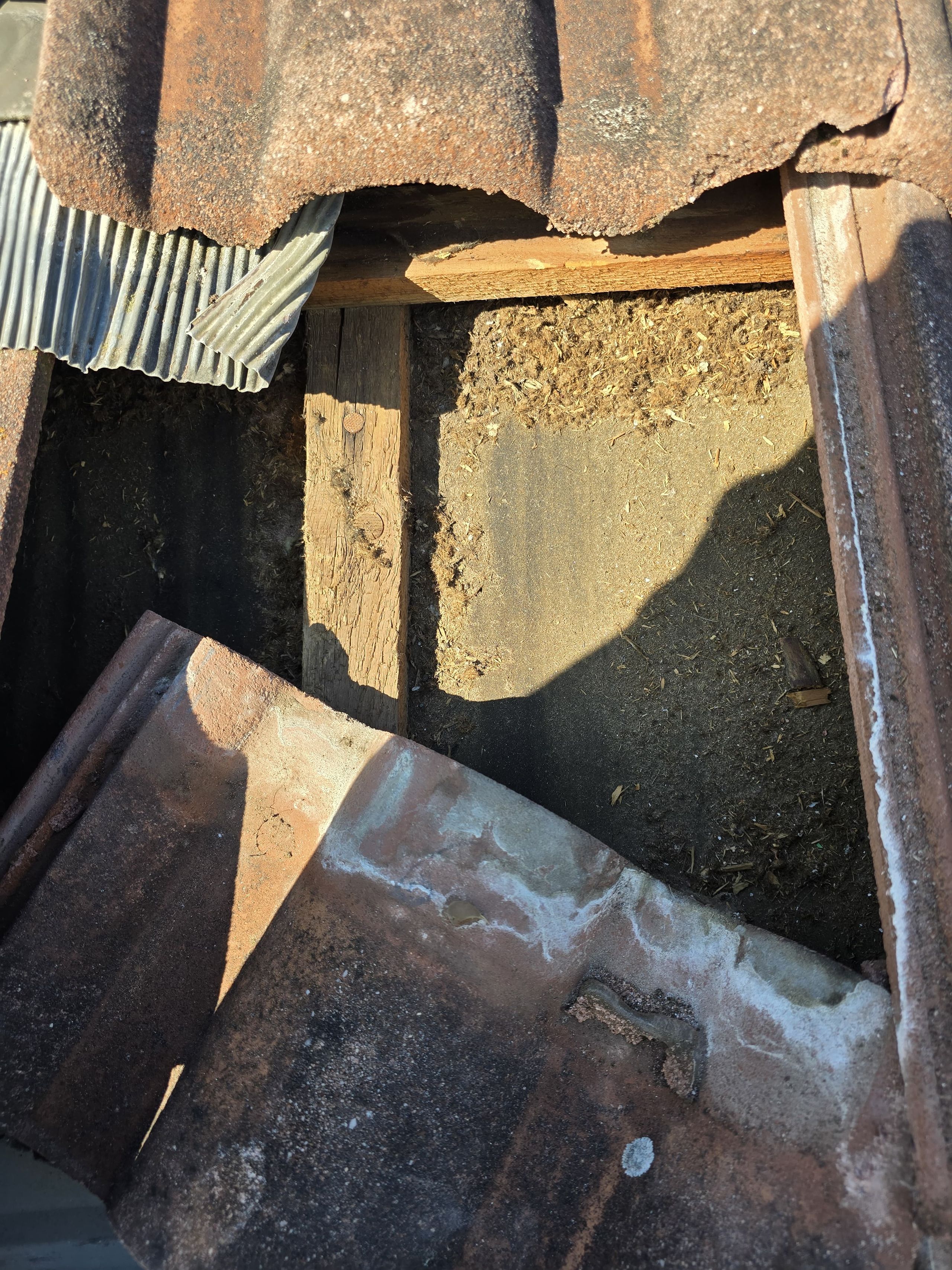 Reparatur