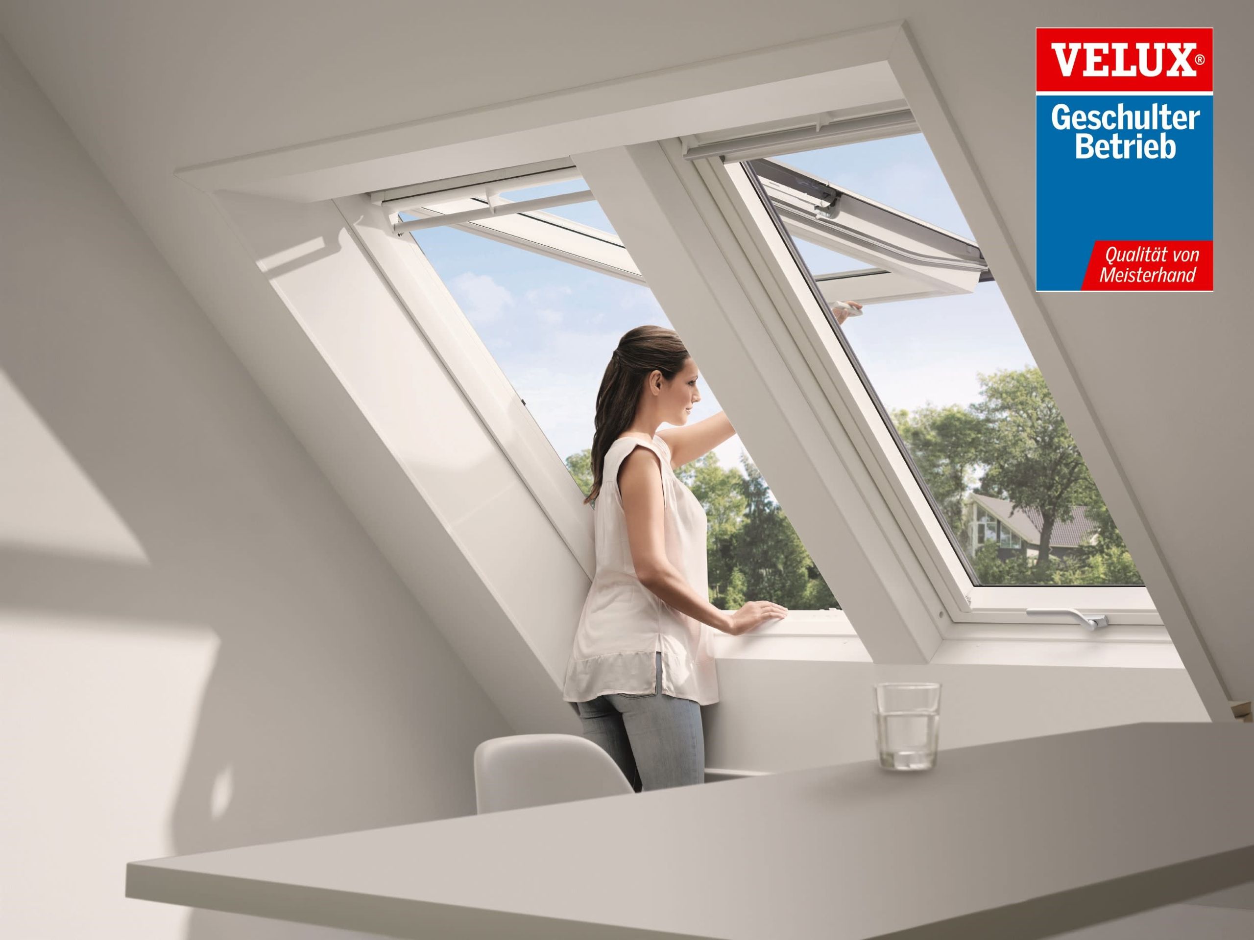 Dachgauben & -fenster